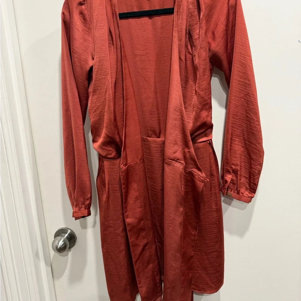 Kittenish Rust Red Satin Drape dress - Picture 4 of 6